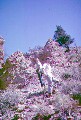 Jeff Imes; John Higgins; Colorado Friends Travel